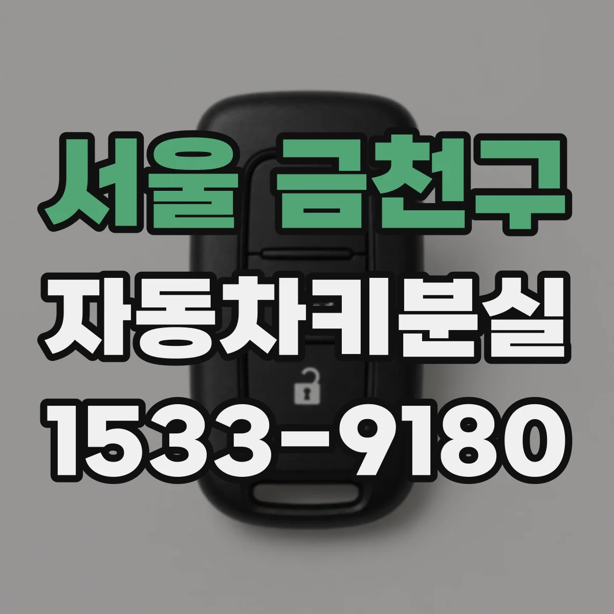 서울 금천구 자동차키분실