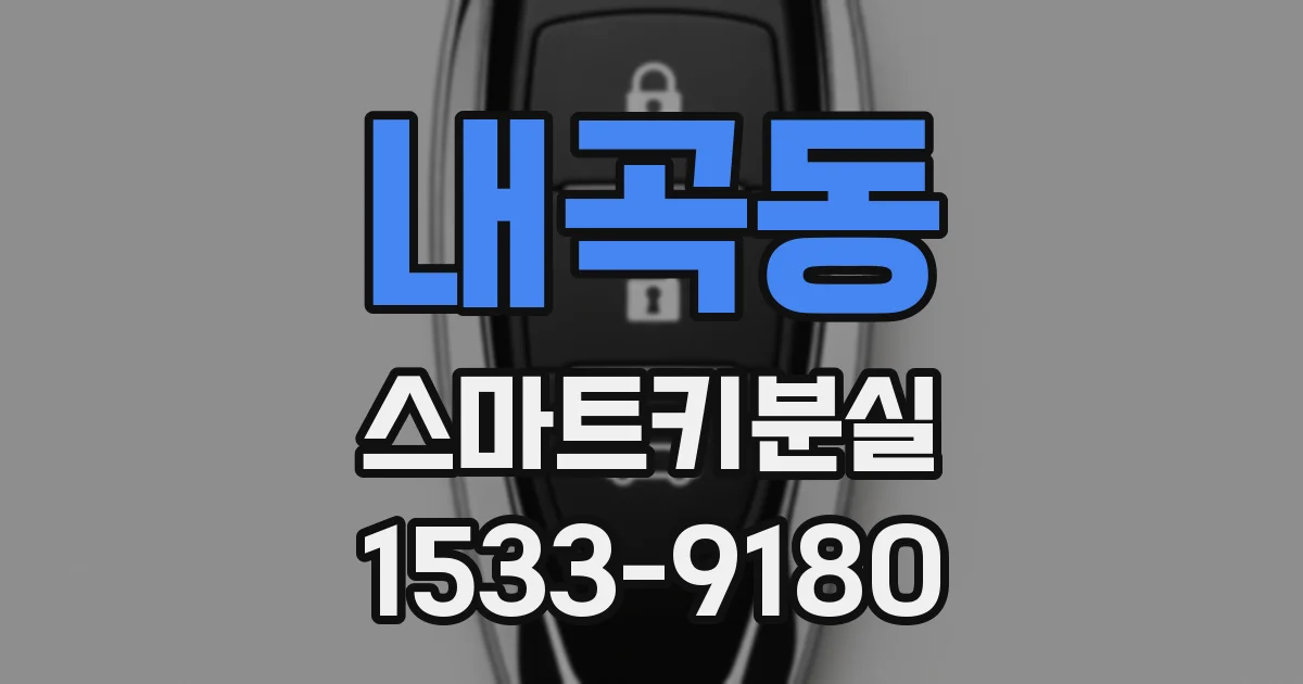 내곡동 스마트키분실
