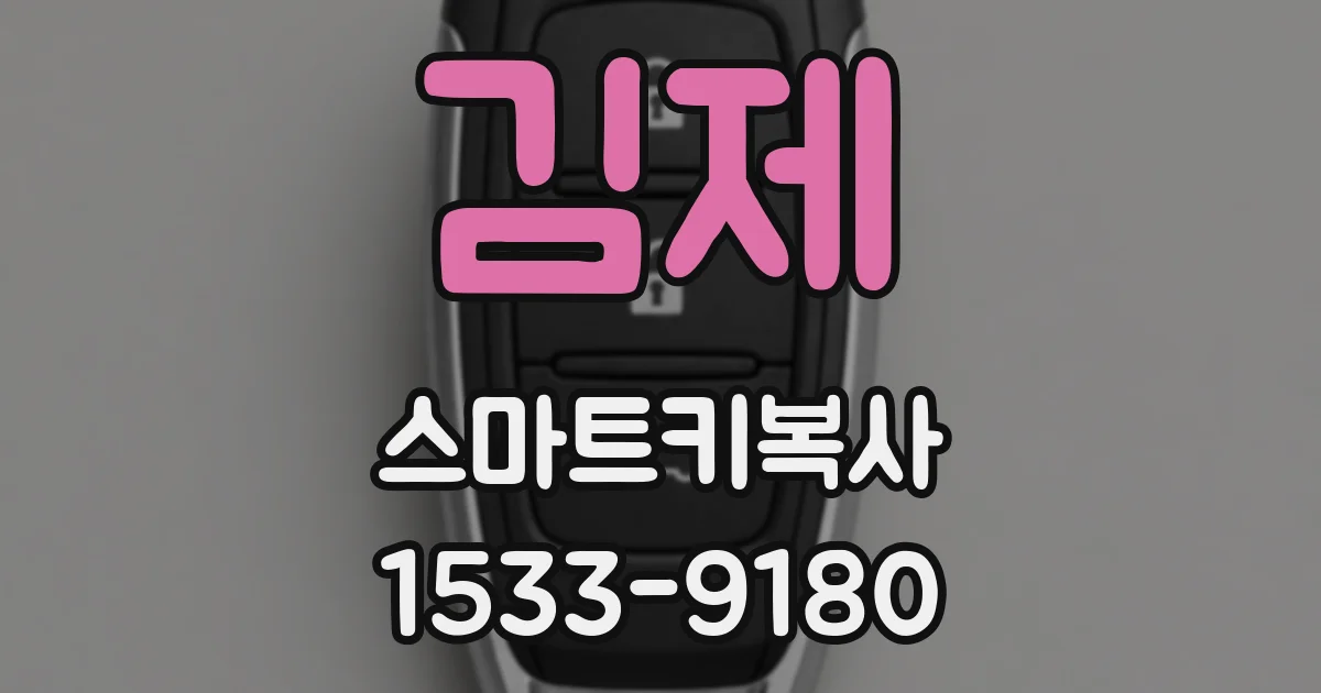 김제 스마트키복사