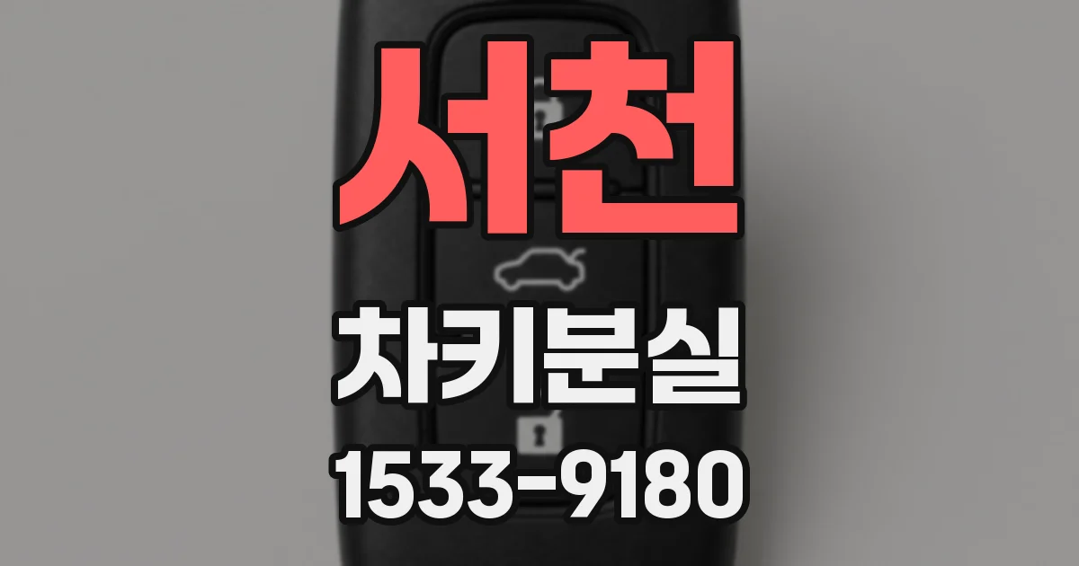 서천 차키분실