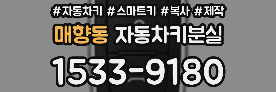 매향동 자동차키분실