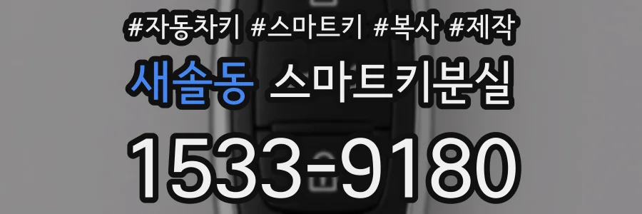새솔동 스마트키분실