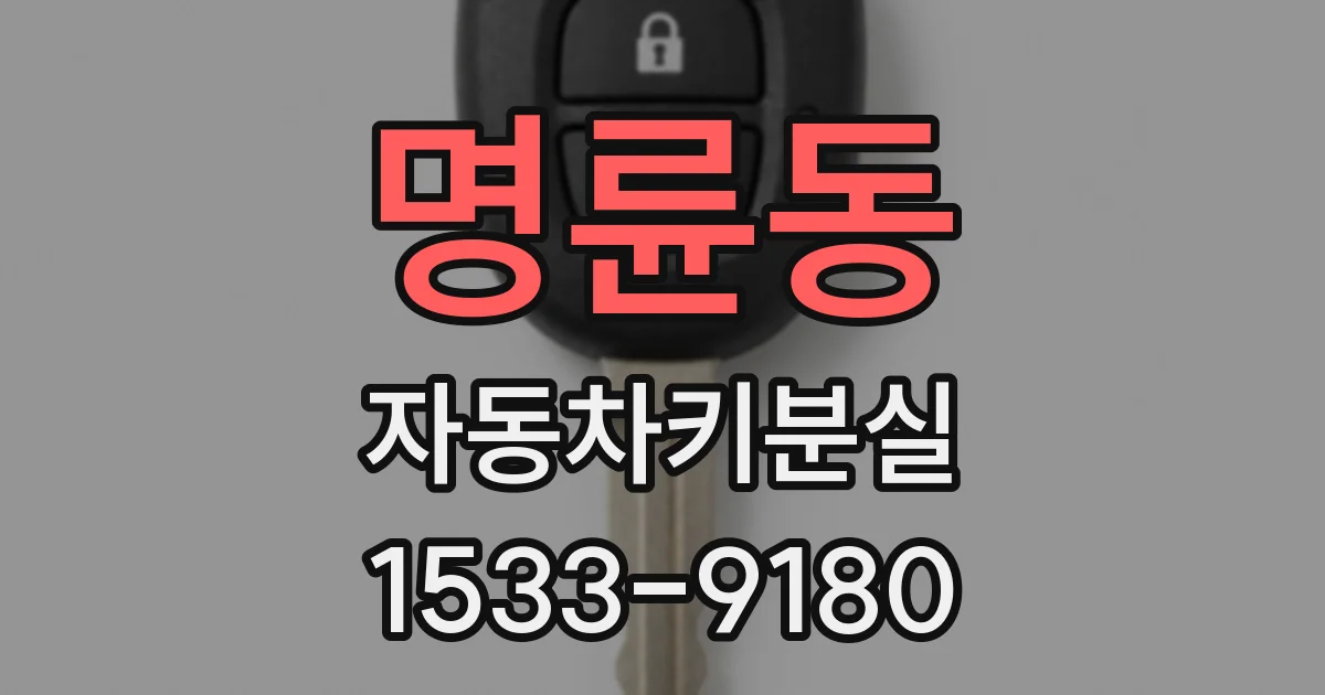 명륜동 자동차키분실