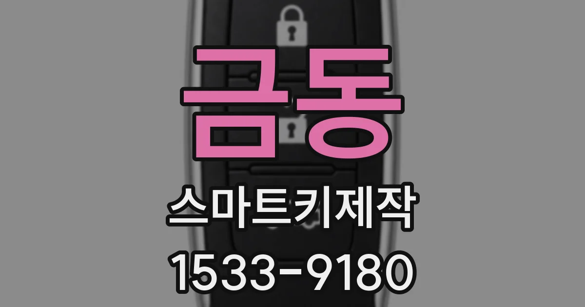 금동 스마트키제작
