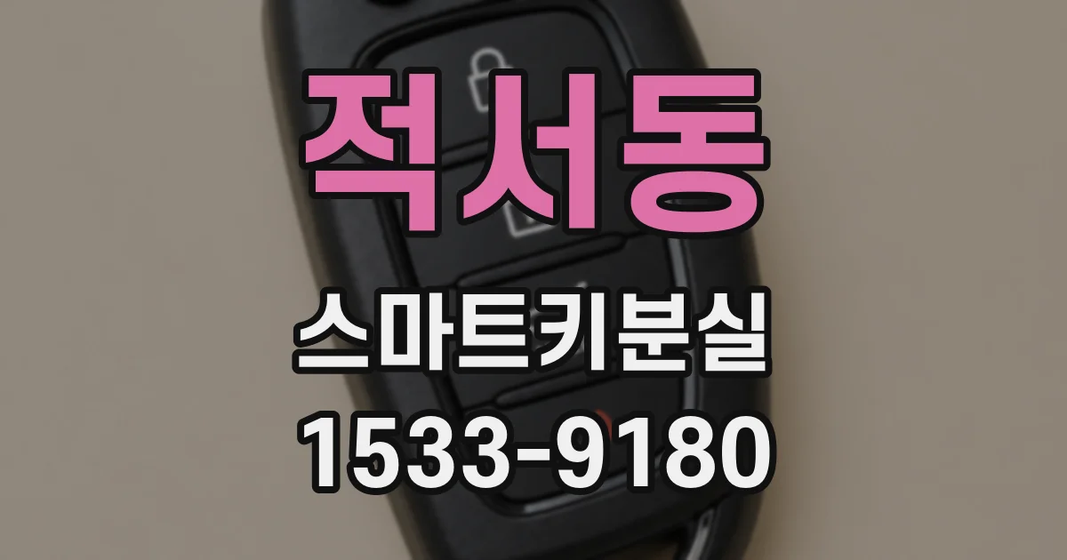 적서동 스마트키분실