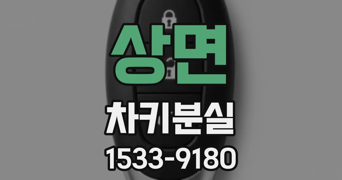 상면 차키분실