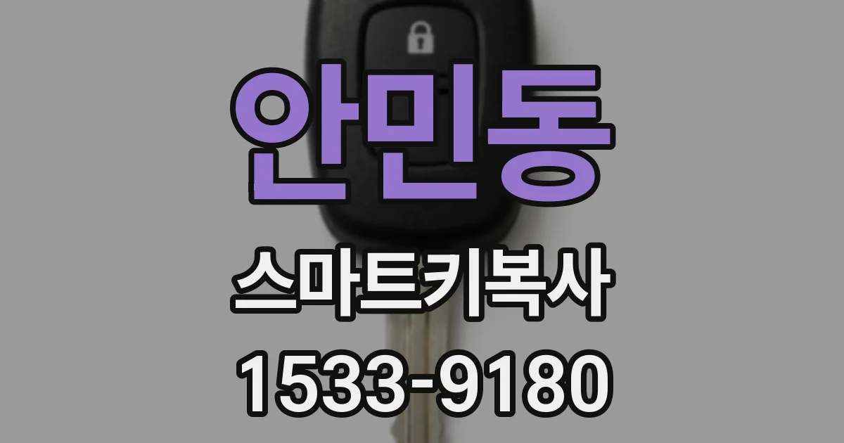 안민동 스마트키복사