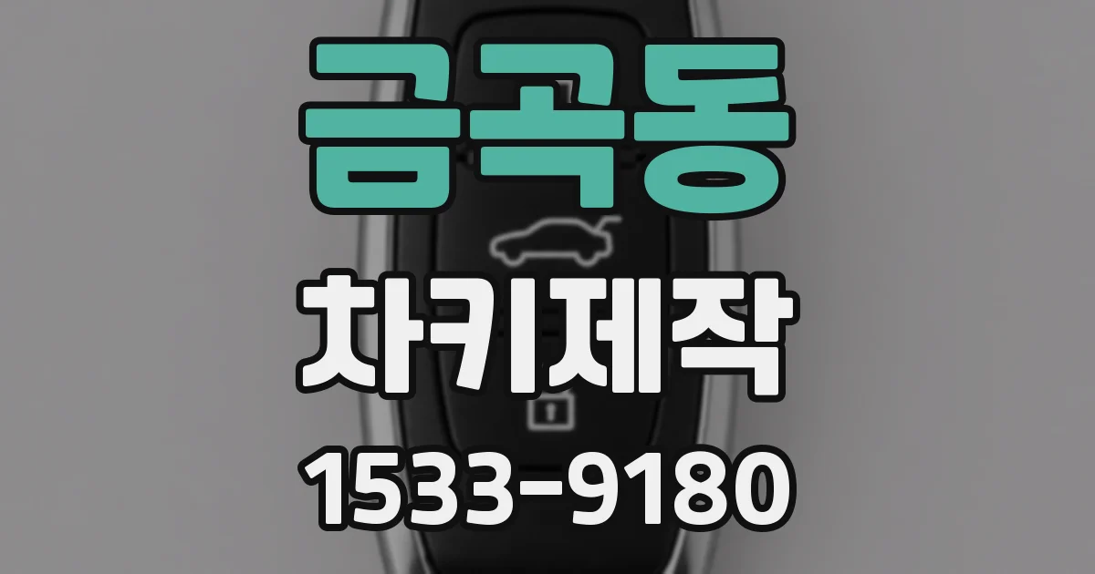 금곡동 차키제작
