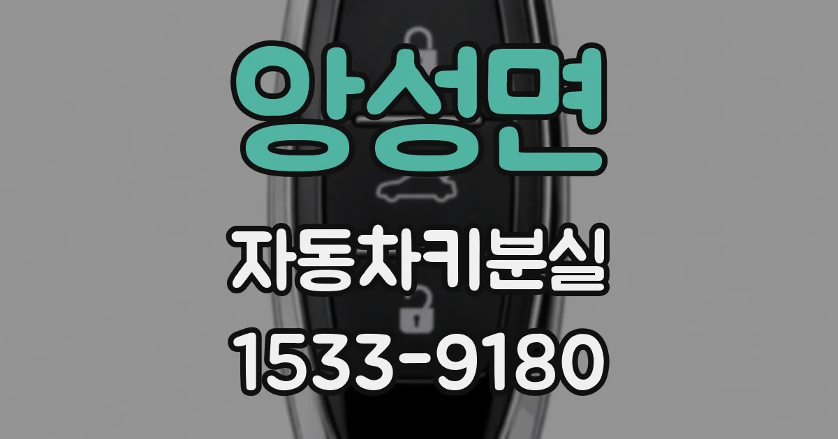 앙성면 자동차키분실