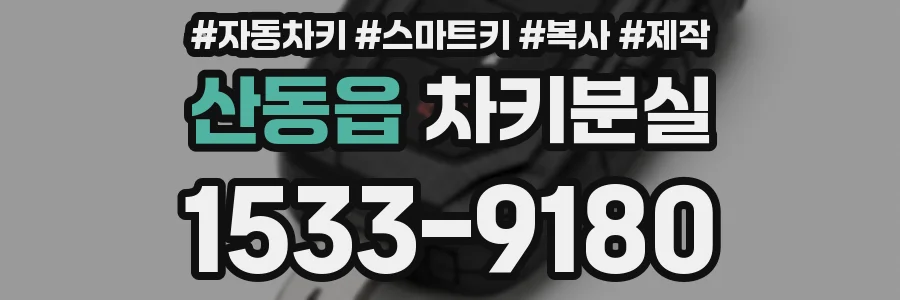 산동읍 차키분실