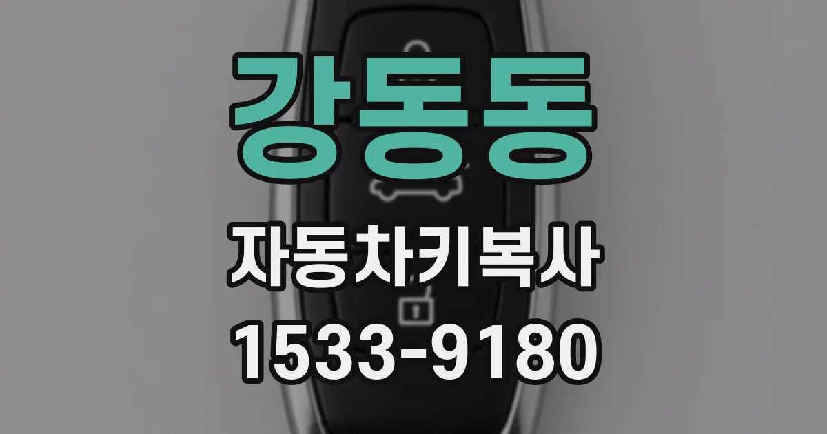 강동동 자동차키복사