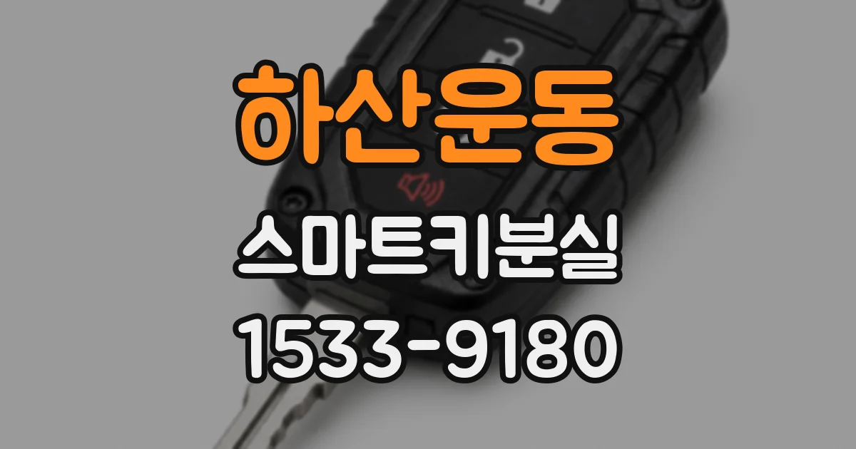 하산운동 스마트키분실