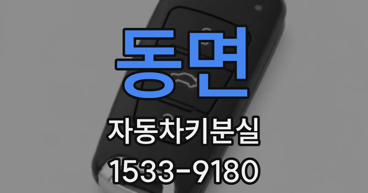 동면 자동차키분실