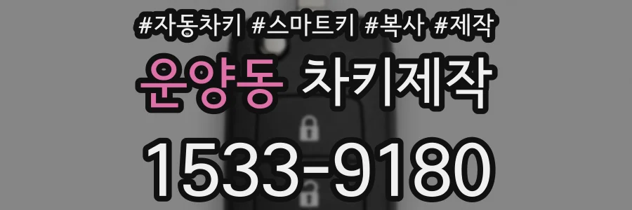 운양동 차키제작
