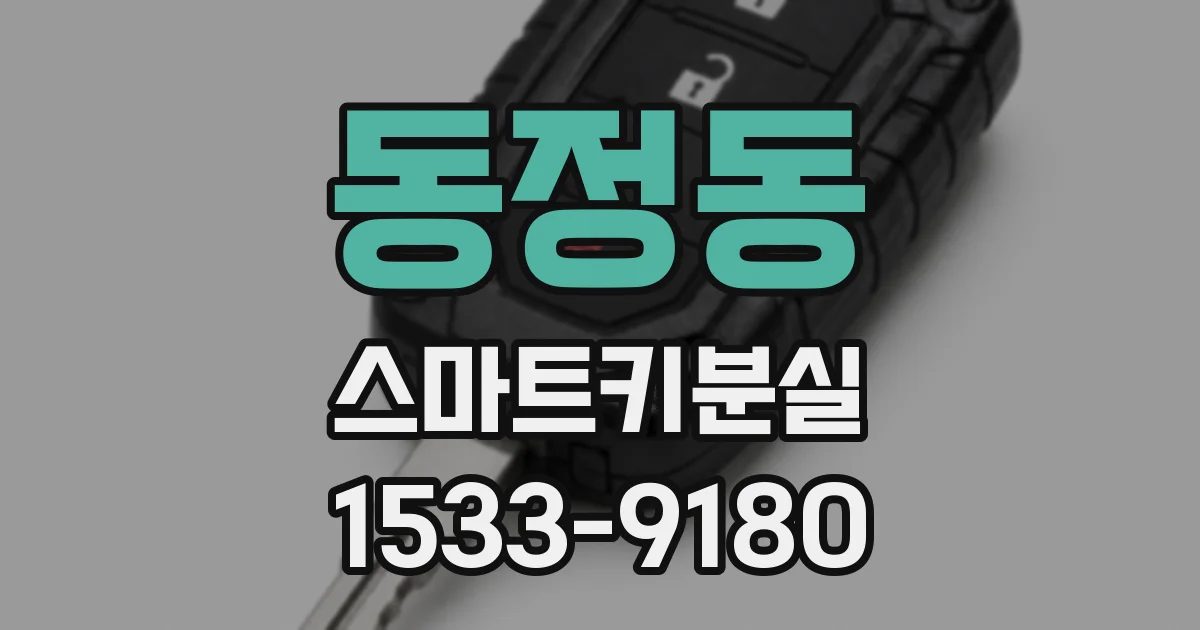 동정동 스마트키분실