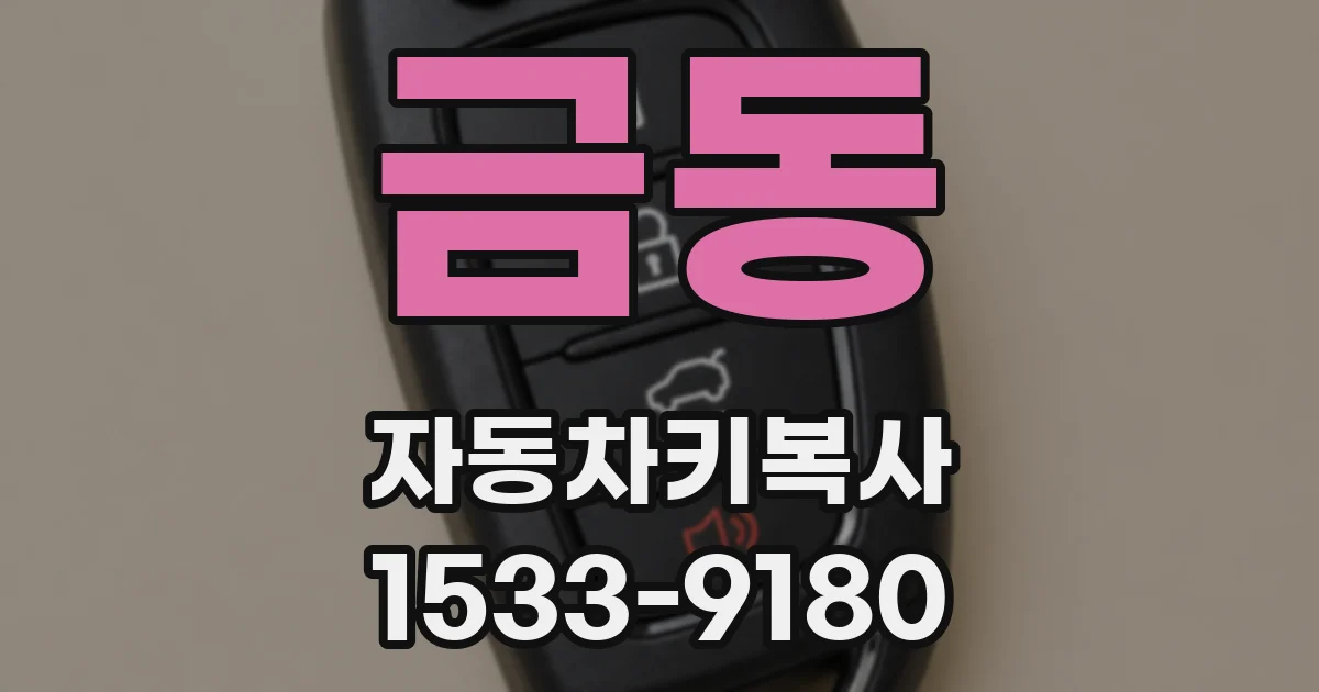 금동 자동차키복사