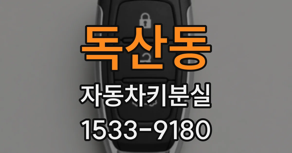독산동 자동차키분실