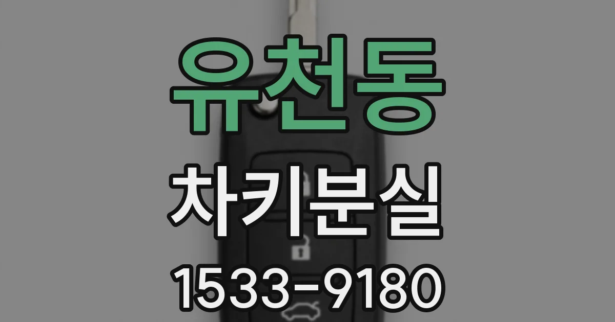 유천동 차키분실