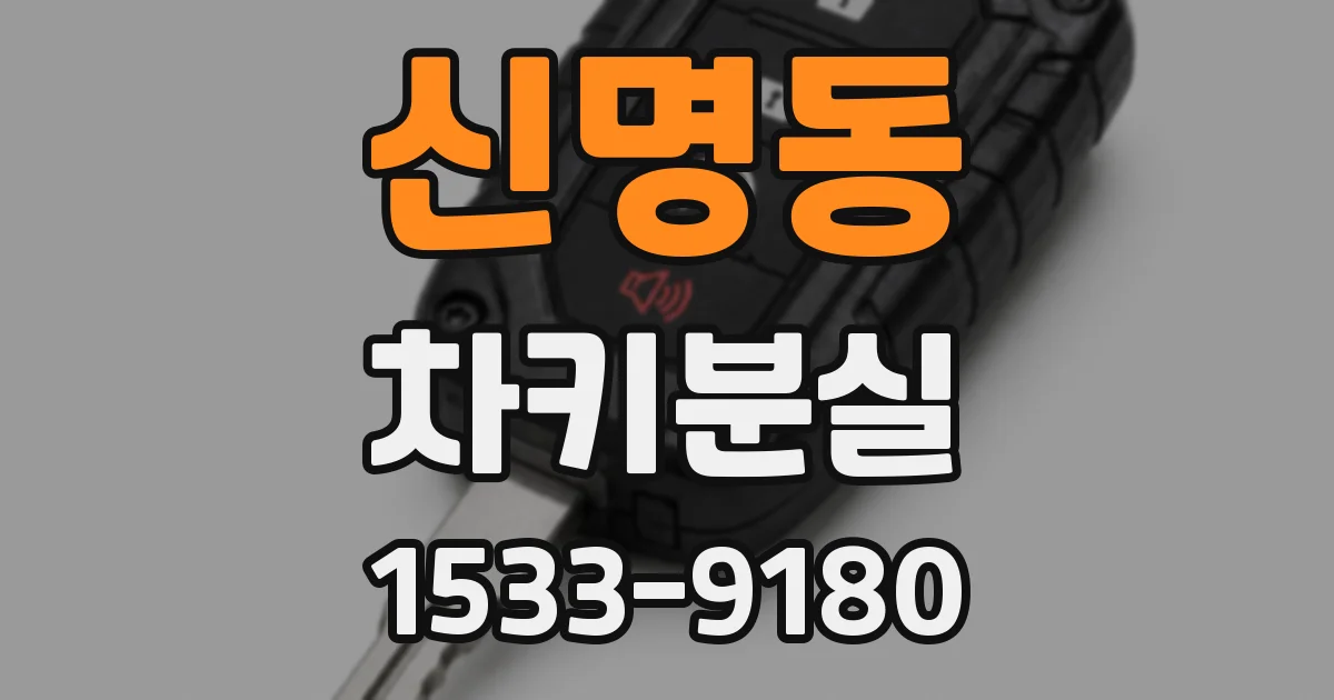 신명동 차키분실