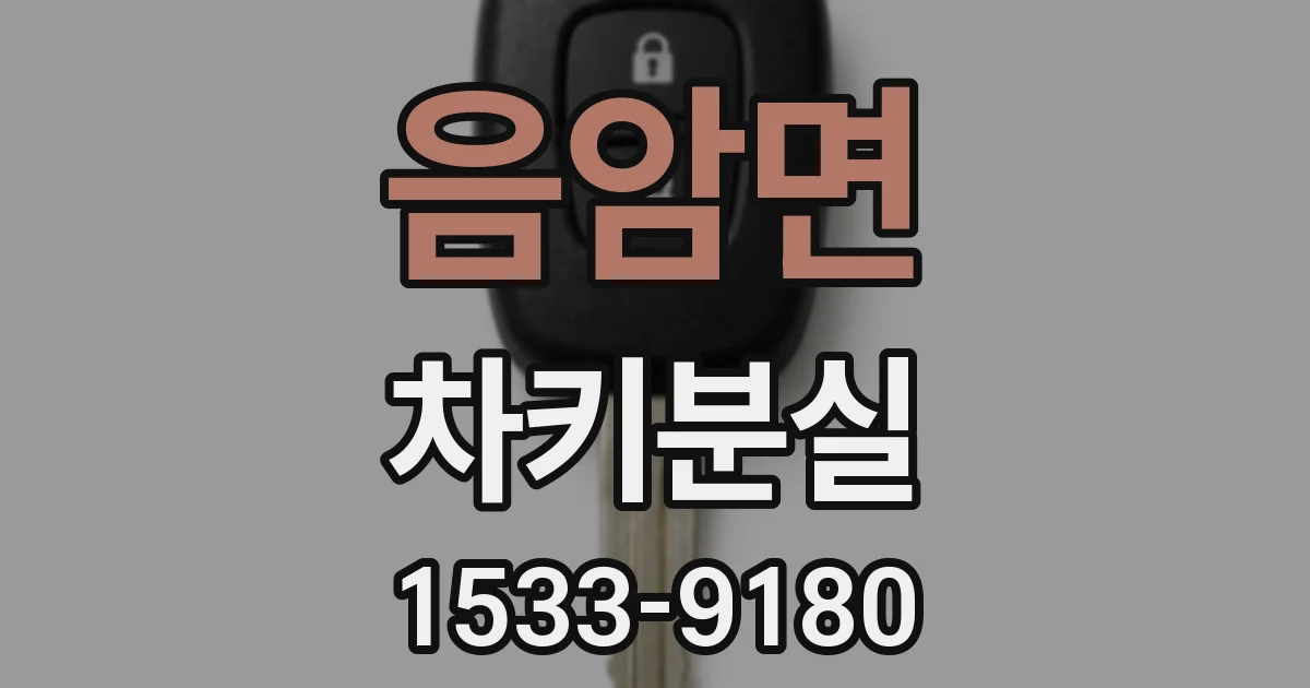 음암면 차키분실