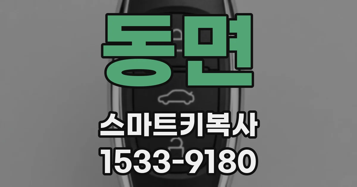 동면 스마트키복사