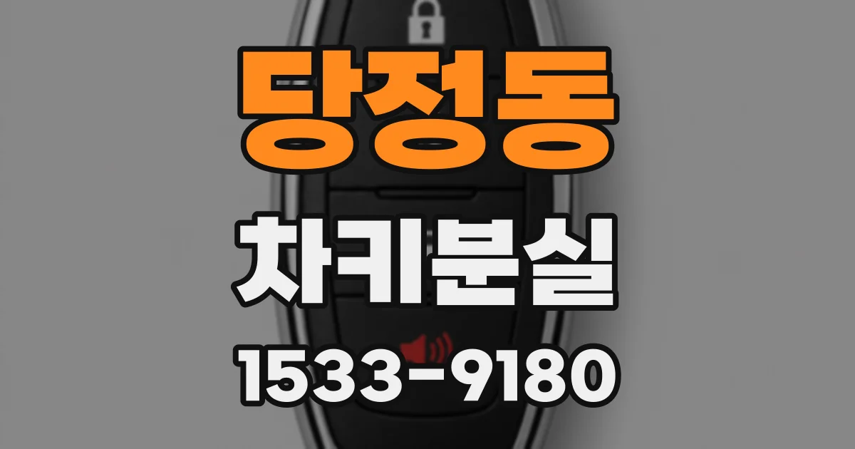 당정동 차키분실