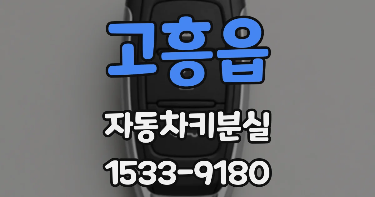 고흥읍 자동차키분실