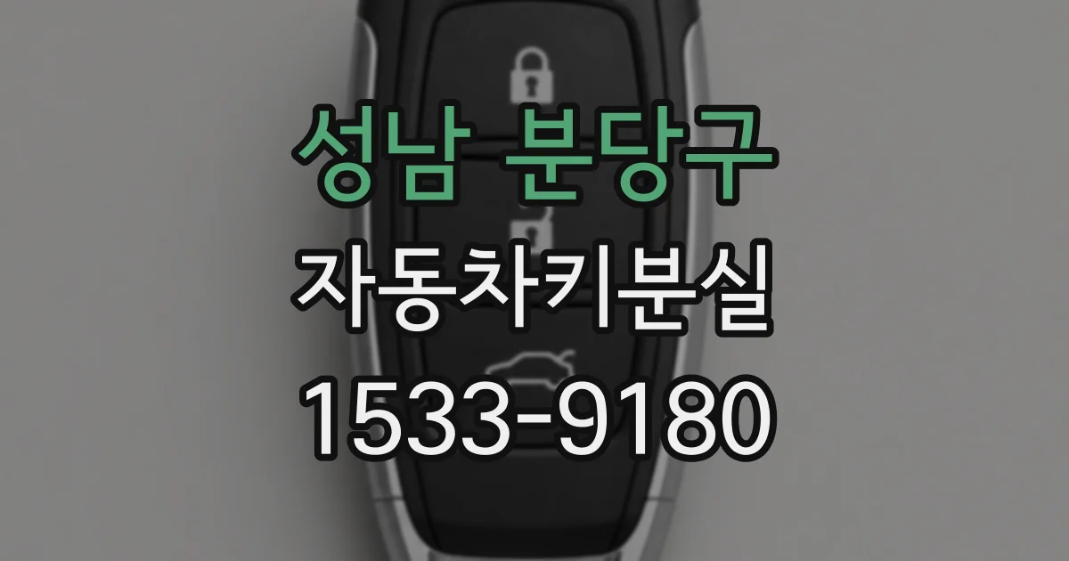 성남 분당구 자동차키분실
