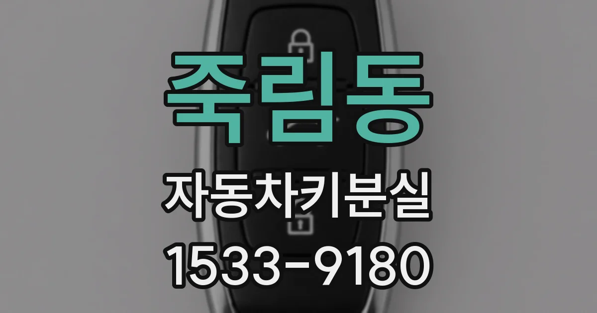 죽림동 자동차키분실
