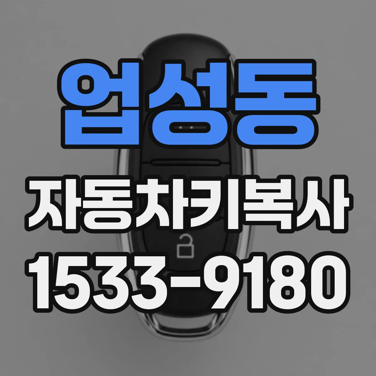 업성동 자동차키복사