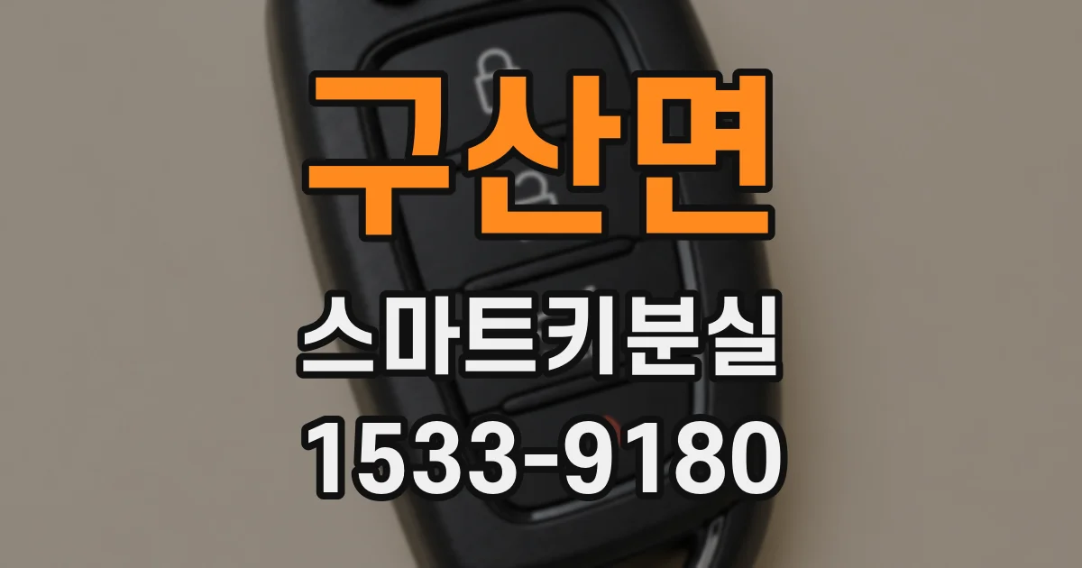 구산면 스마트키분실