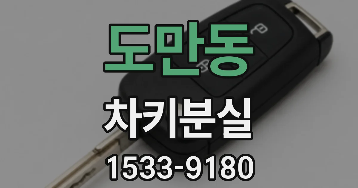 도만동 차키분실