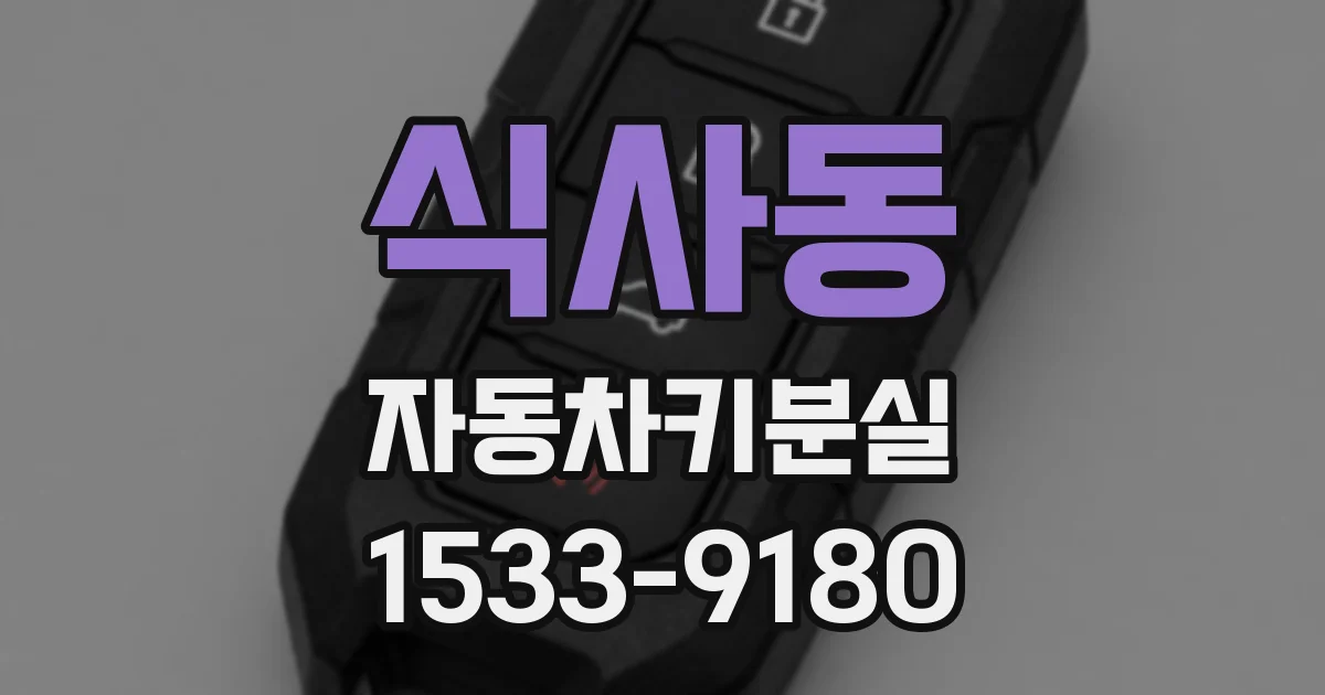 식사동 자동차키분실