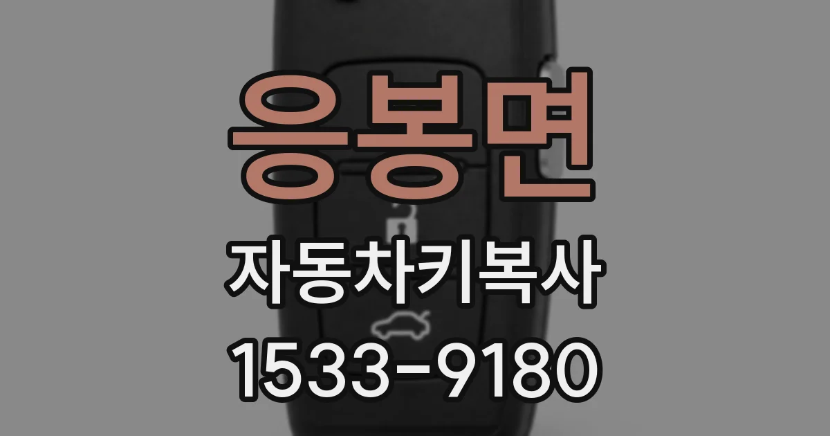 응봉면 자동차키복사
