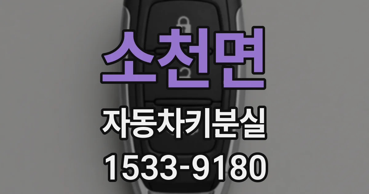 소천면 자동차키분실