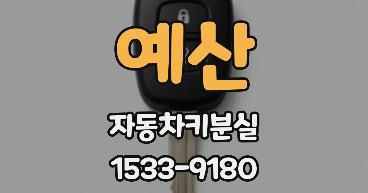 예산 자동차키분실