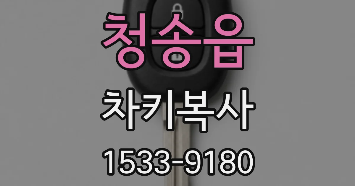 청송읍 차키복사
