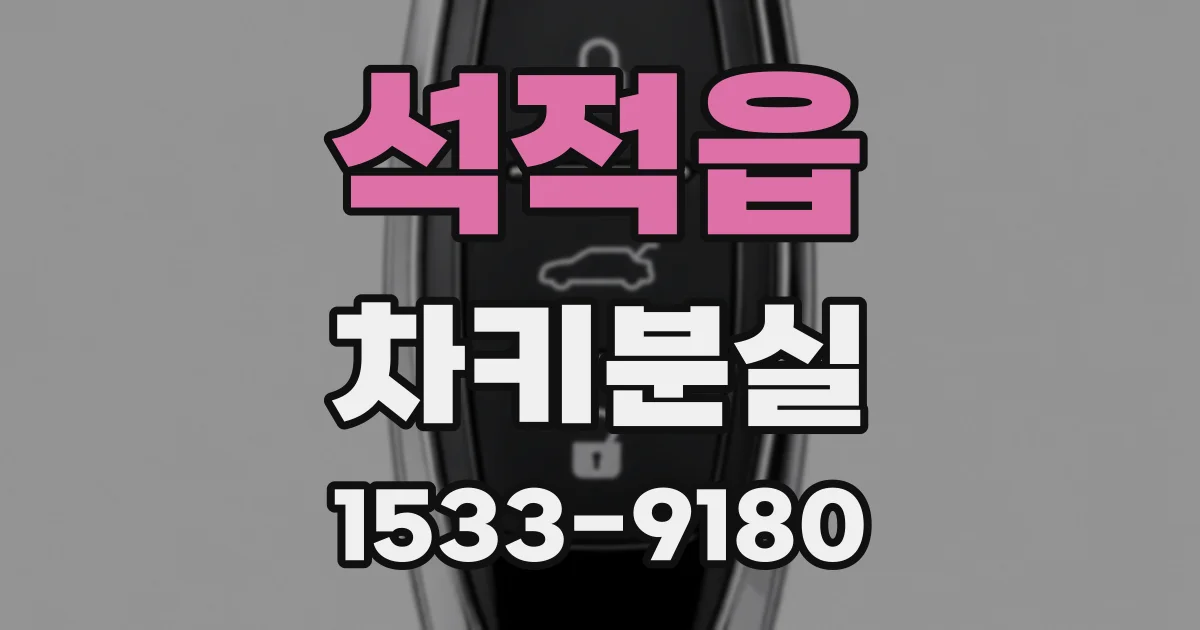 석적읍 차키분실
