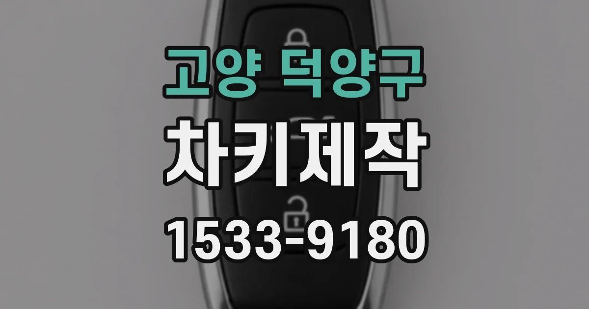 고양 덕양구 차키제작