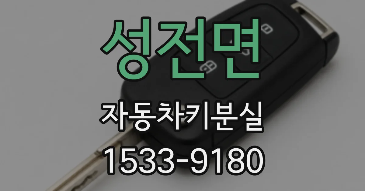 성전면 자동차키분실