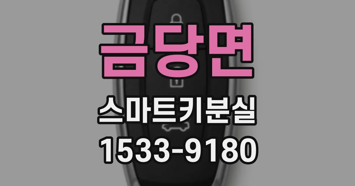 금당면 스마트키분실