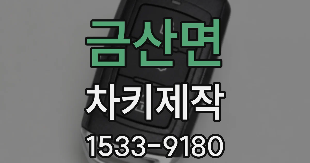 금산면 차키제작