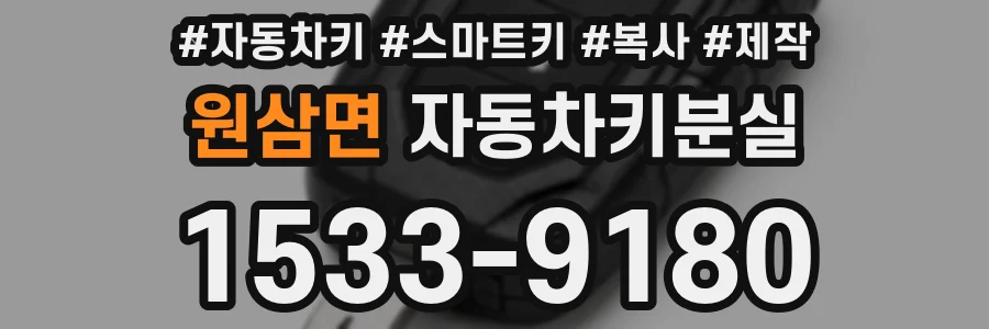 원삼면 자동차키분실