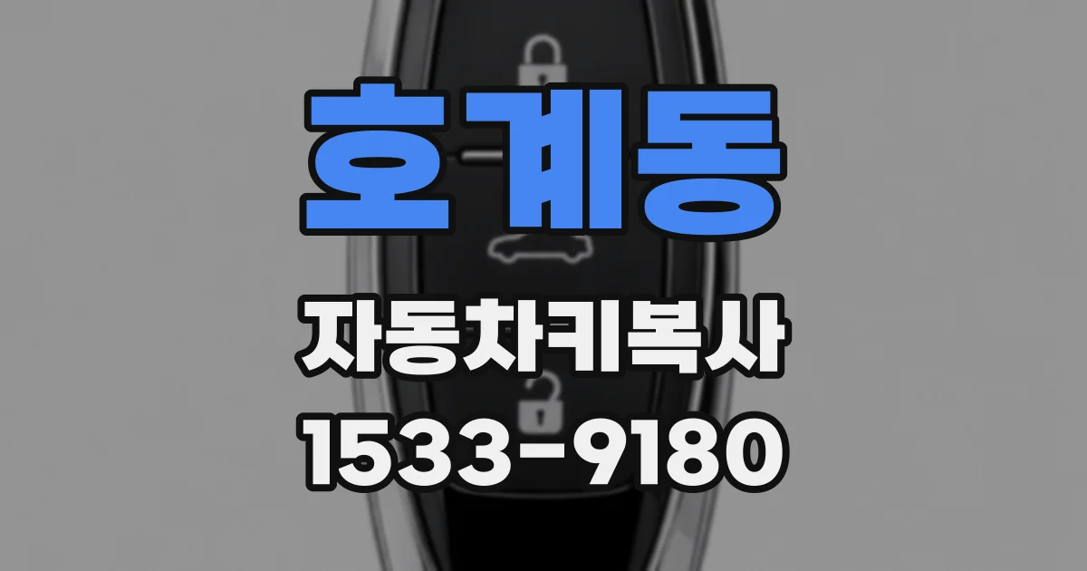 호계동 자동차키복사