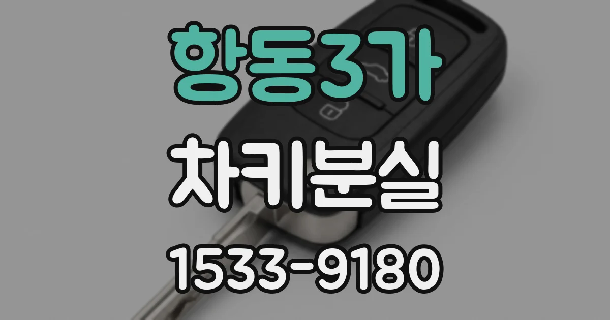 항동3가 차키분실