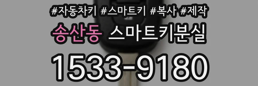 송산동 스마트키분실