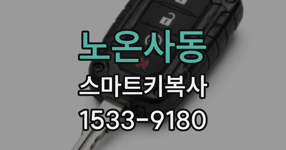 노온사동 스마트키복사