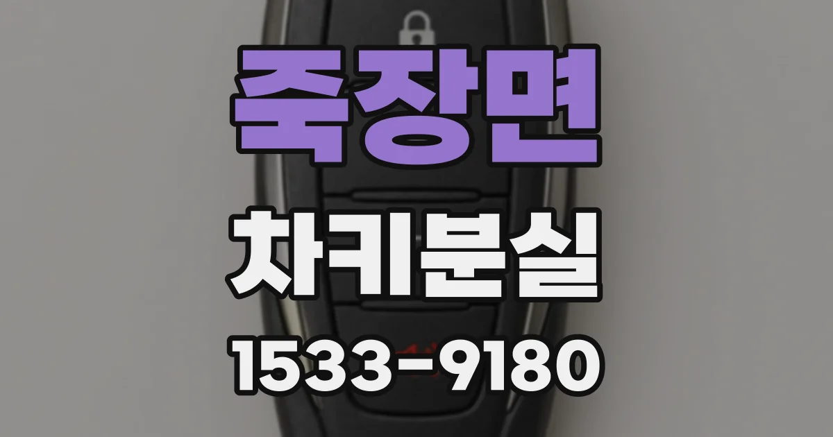 죽장면 차키분실