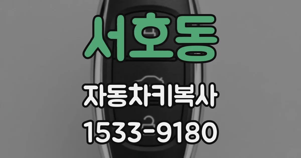 서호동 자동차키복사