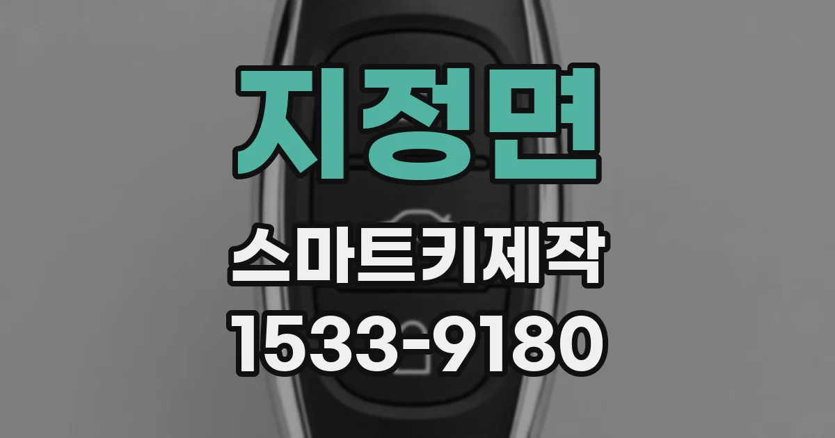 지정면 스마트키제작